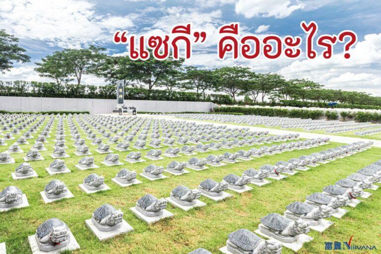 แซกีคืออะไร