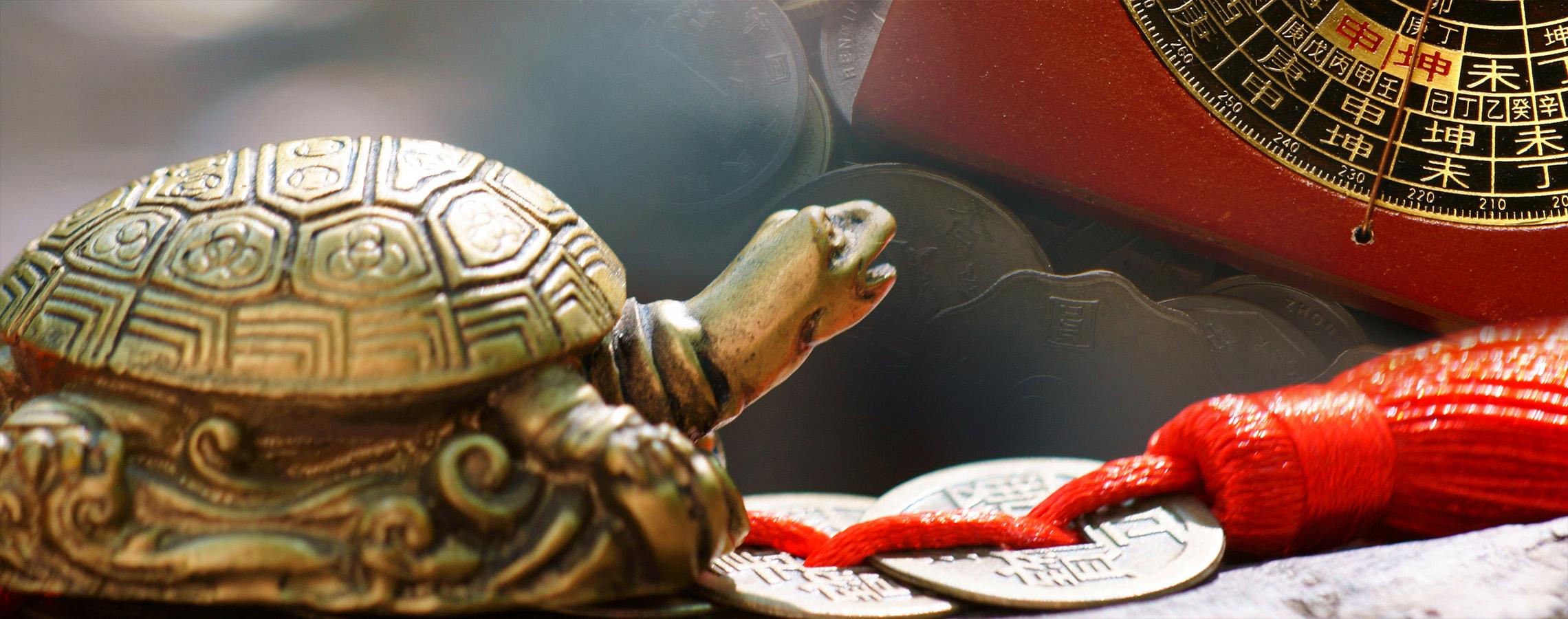 เต่ามังกร 