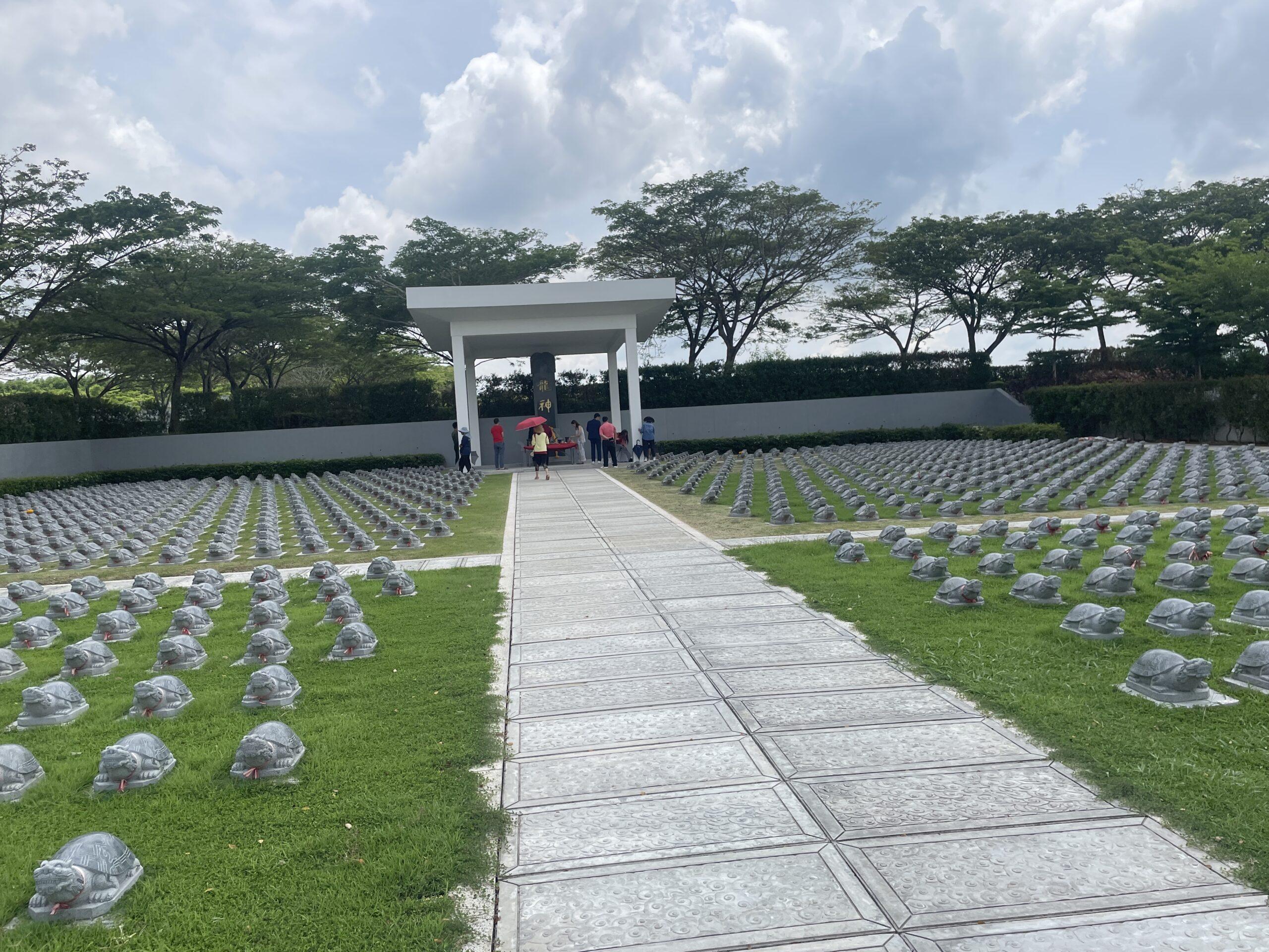 แซกีเต่ามังกร