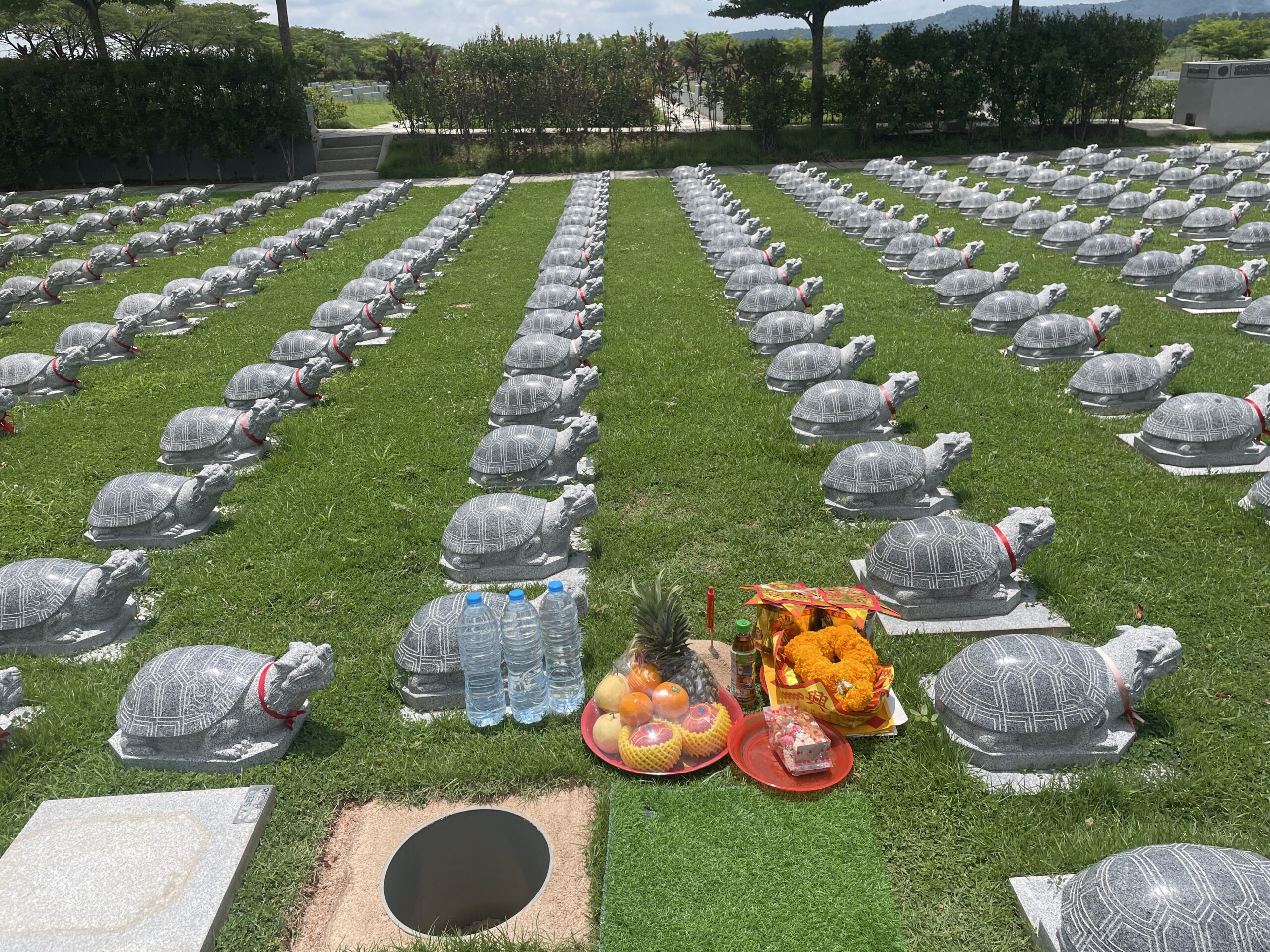 แซกีเต่ามังกร