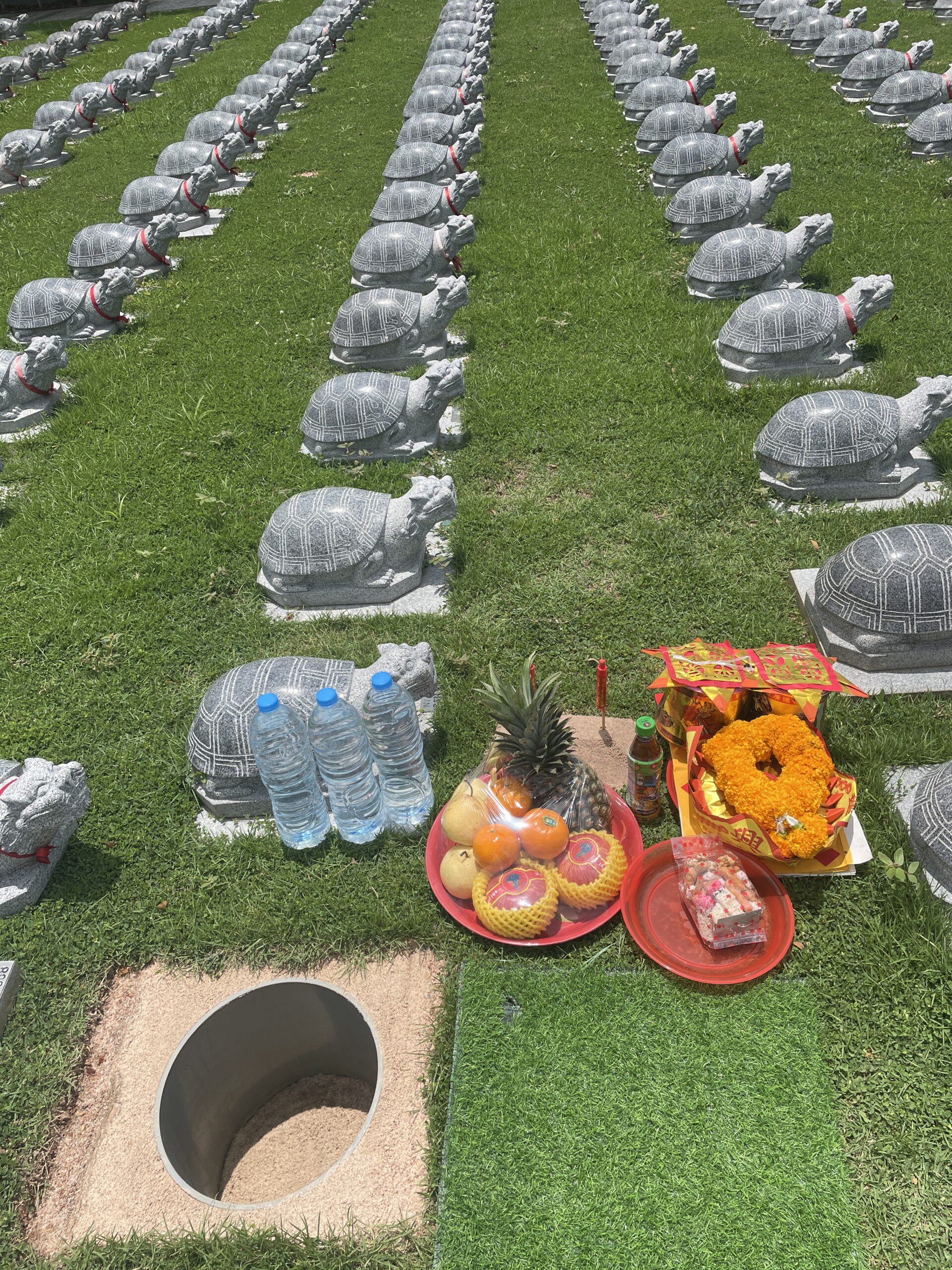 พิธีแซกีเต่ามังกร