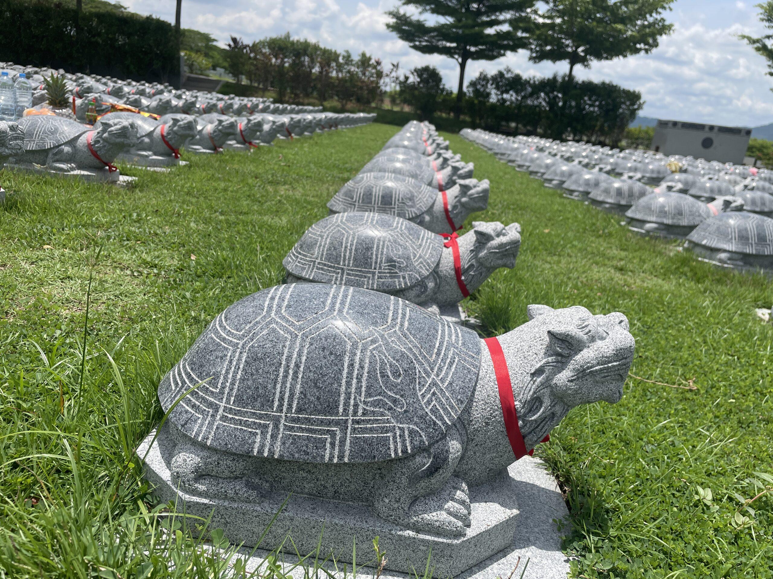 แซกีเต่ามังกร